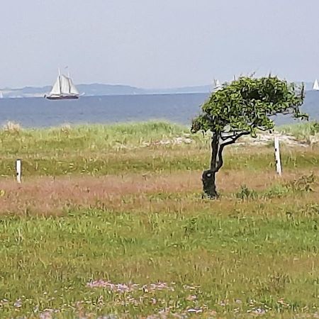 Wormshoeft 16 Hasselberg  外观 照片